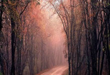 开云平台-河床战术调整显效，力争世俱杯更好名次