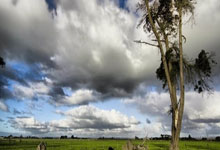 开云体育中国-北非玫瑰怒放！突尼斯女足血战掀翻摩洛哥，改写地中海足球史诗
