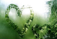 开云体育官方网站-西雅图海湾者锋线火力全开，防守压力山大