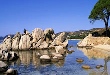 开云APP-欧拉迪波42分风暴夜！篮网防线崩塌记——鹈鹕三叉戟撕裂布鲁克林