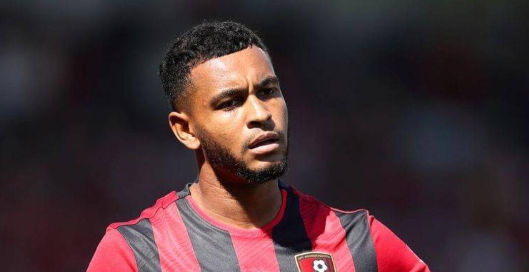 伯恩茅斯再次失利，保级压力愈发加大的简单介绍