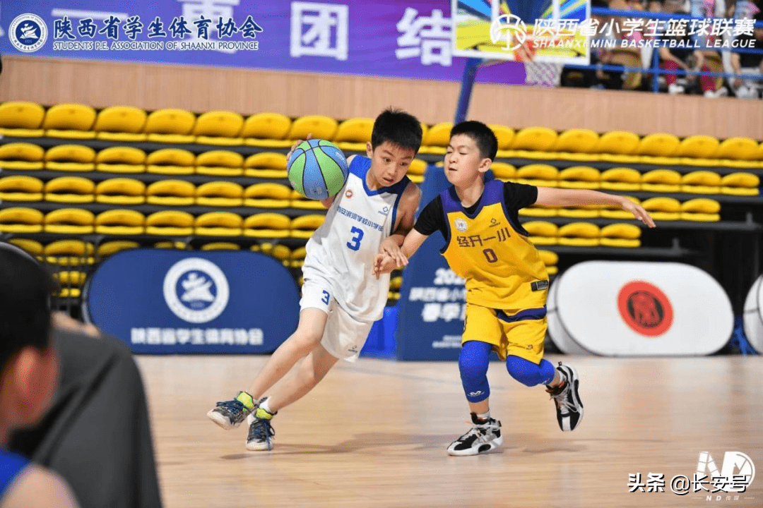 精湛技艺展现赛场精彩，观众尽情感受篮球魅力的简单介绍