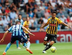 关于迪戈戴斯卡尼维队意外获胜，独领风骚力压群雄的信息