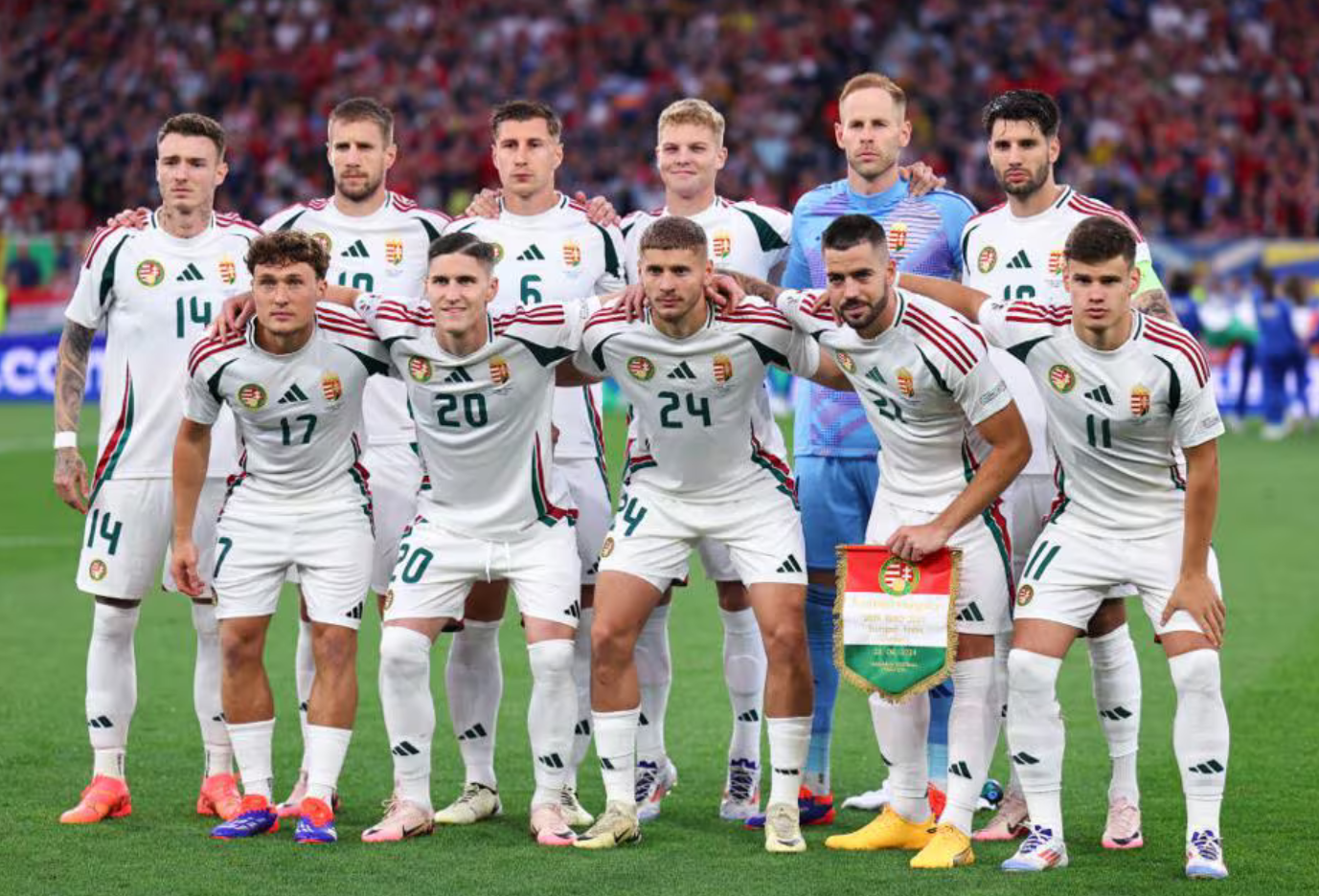 苏格兰队球员突遇受伤，速旋退场