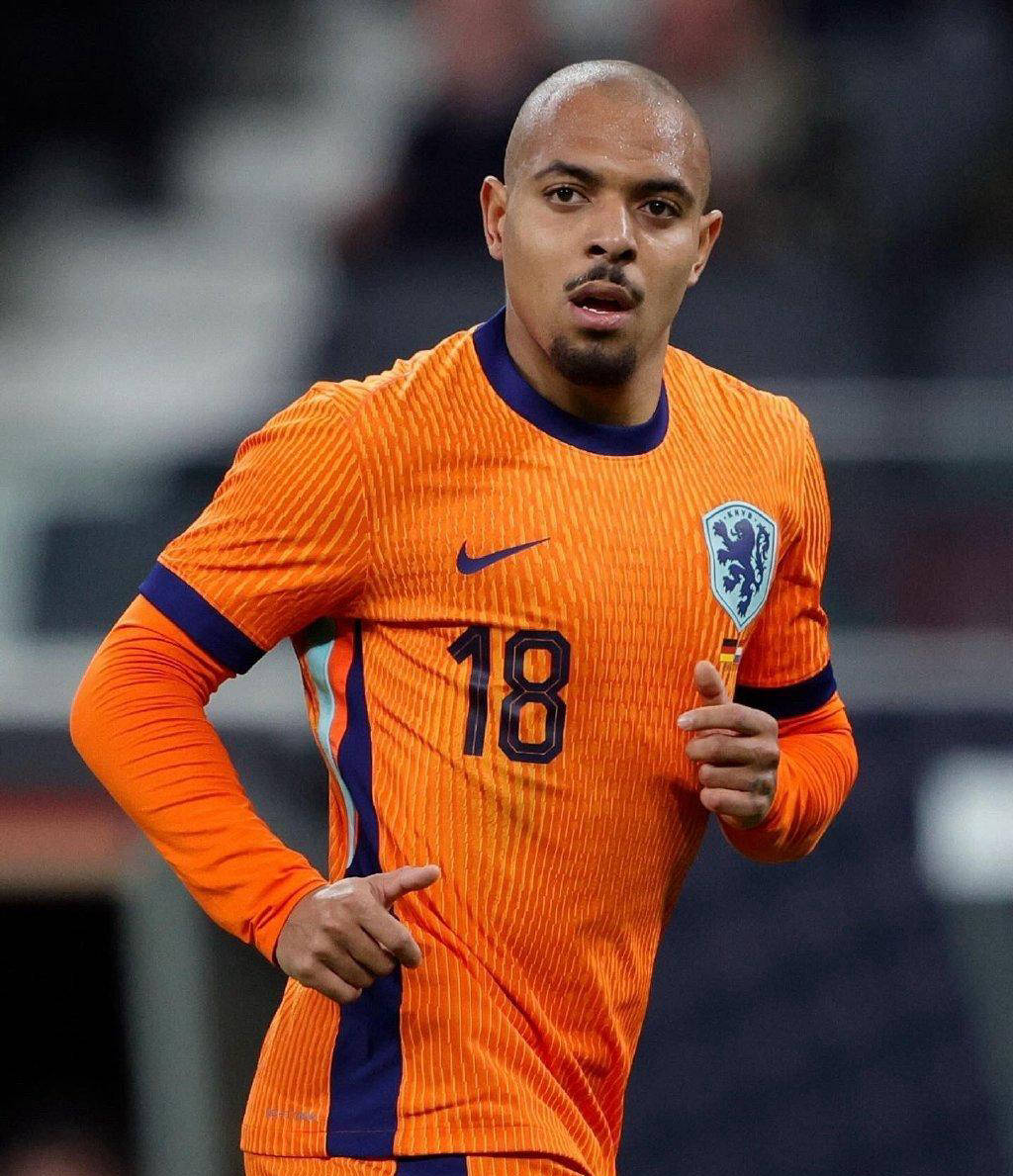 荷兰国家队备战,为争取胜利做好准备 荷兰国家队备战,为争取胜利做好准备